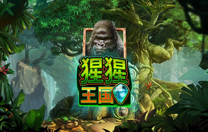 金沙app官方入口